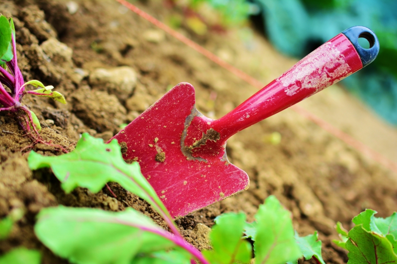 jardinerie-COURSEGOULES-min_gardening-2448134